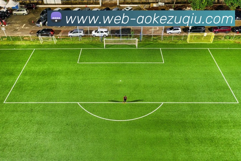 多媒体互动体验